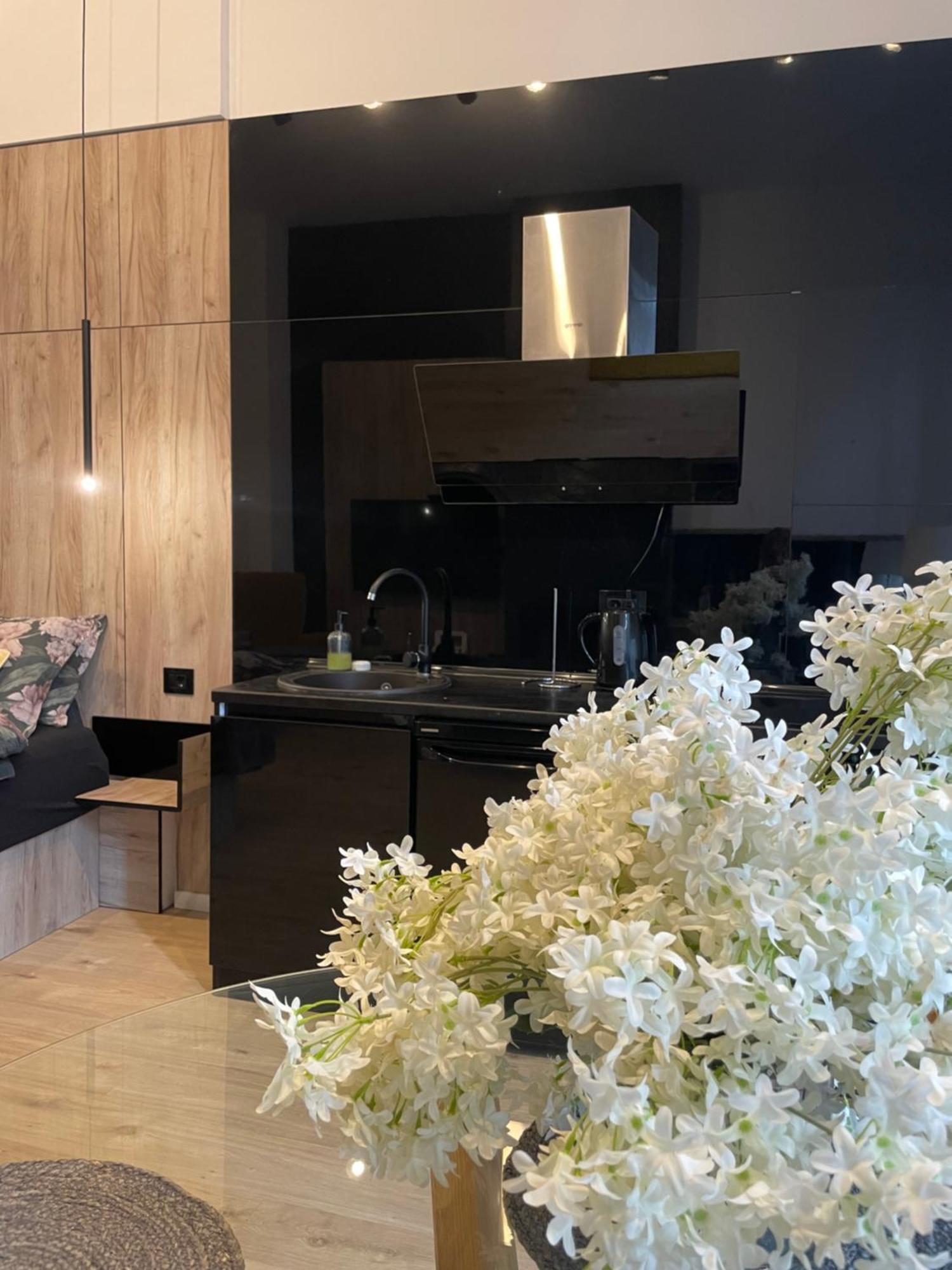 Lux Dabich 1 Apartment Novi Sad Exterior photo